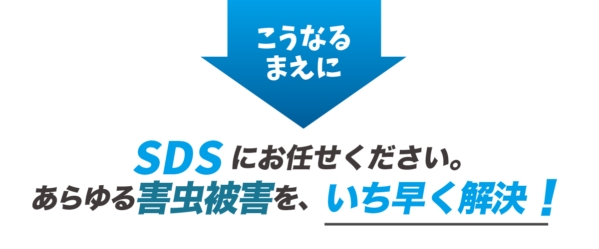 こうなるまえに